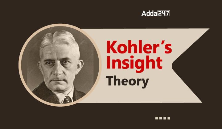 Kohler S Insight Theory