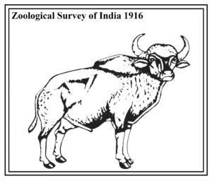 झूलॉजिकल सर्व्हे ऑफ इंडियाला पहिल्या महिला संचालक
