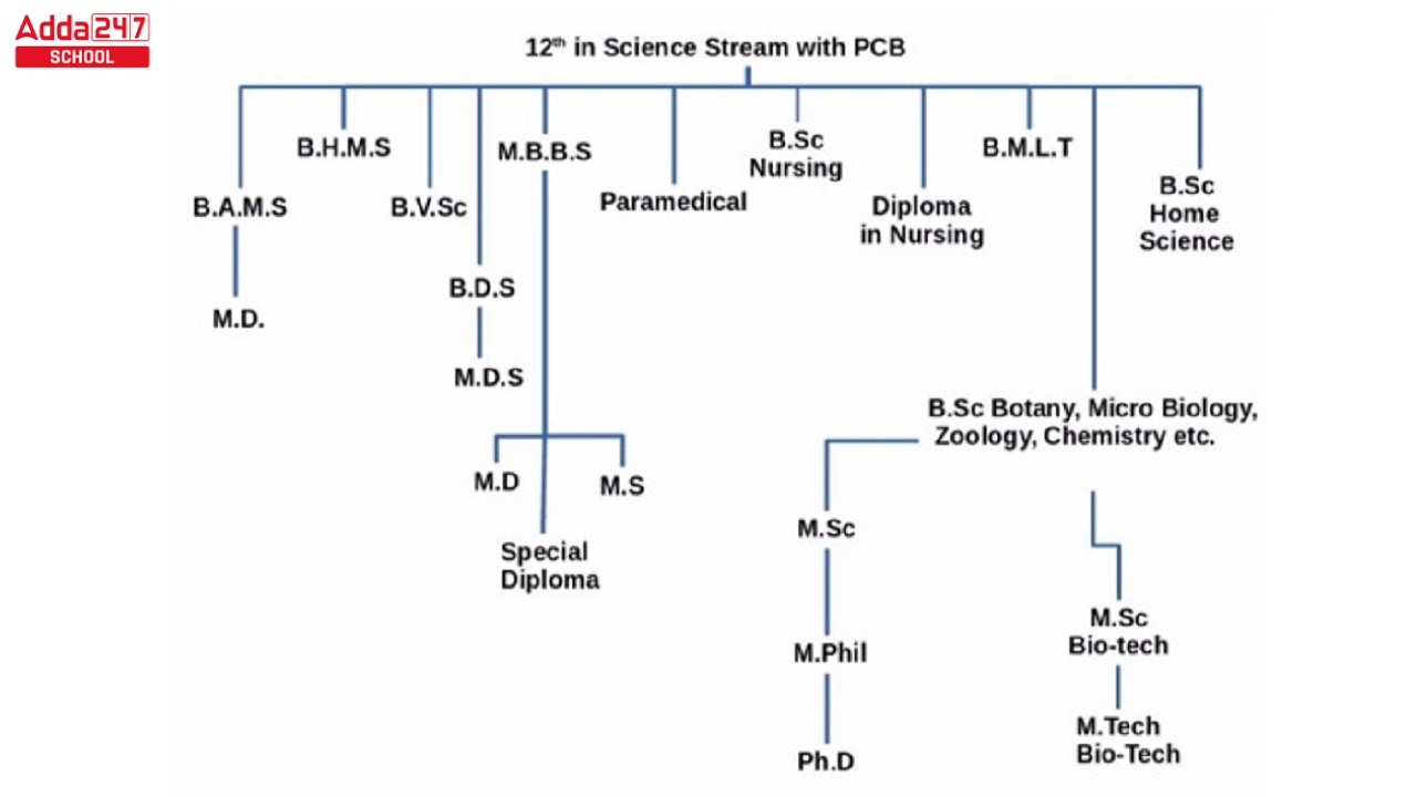 PCB Career Options: Exams Other Than NEET for PCB Students