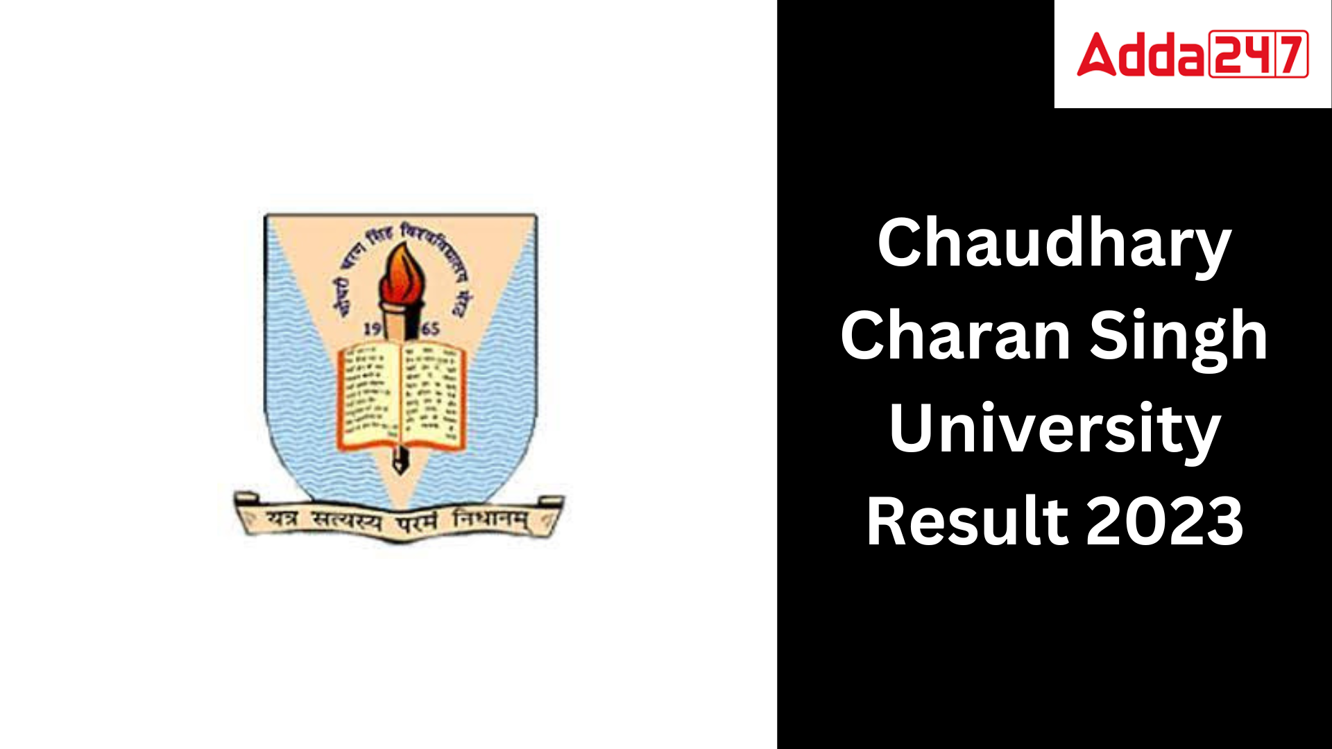 CCSU Result 2023 Out,1st,2nd,3rd Year Result Link At Www.ccsuniversity ...