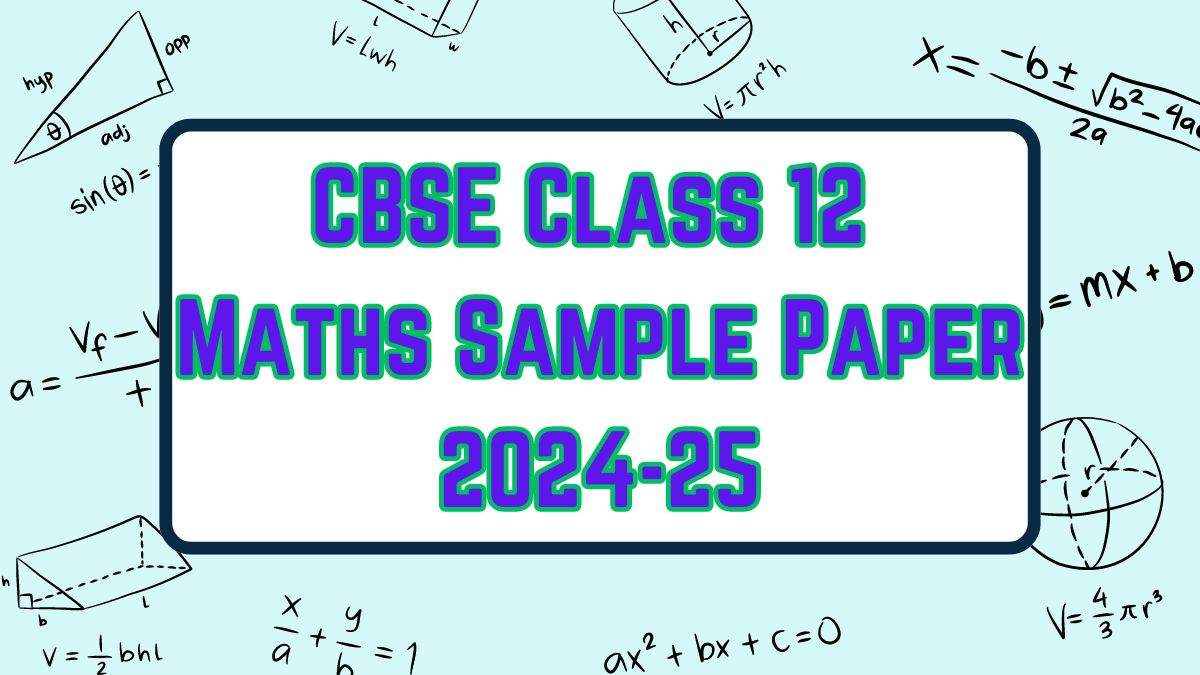 class 12 maths 2024 25 sample paper