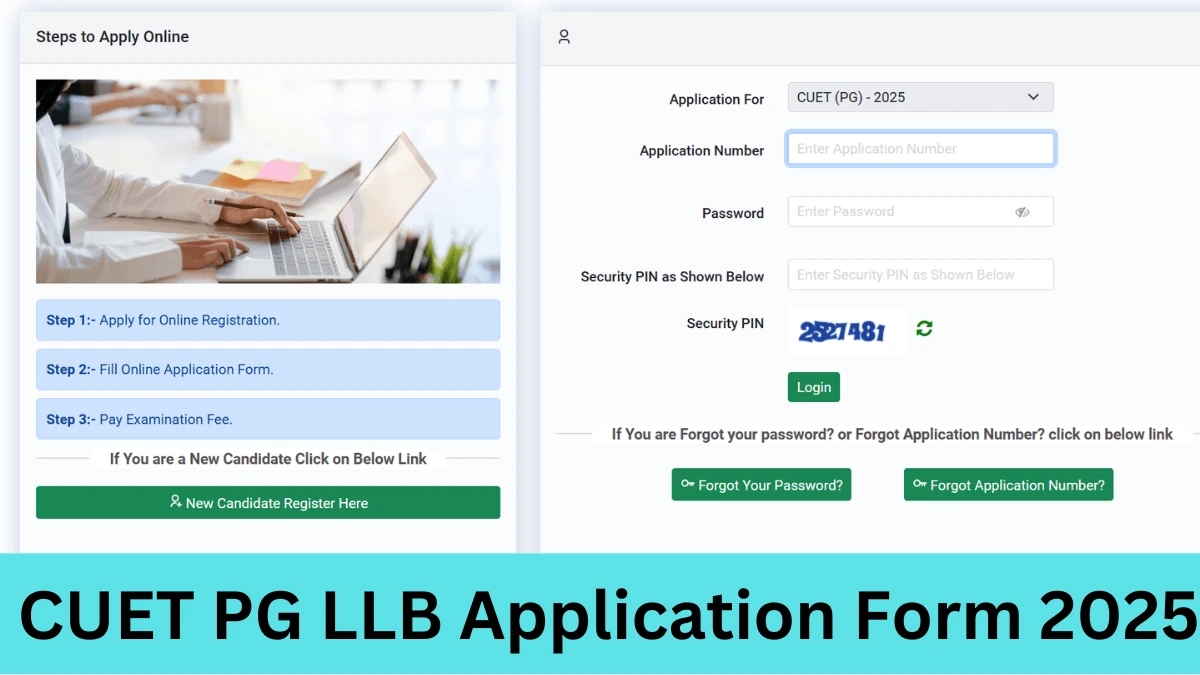 CUET PG LLB Application Form 2025 Released, Check Direct Link, How to