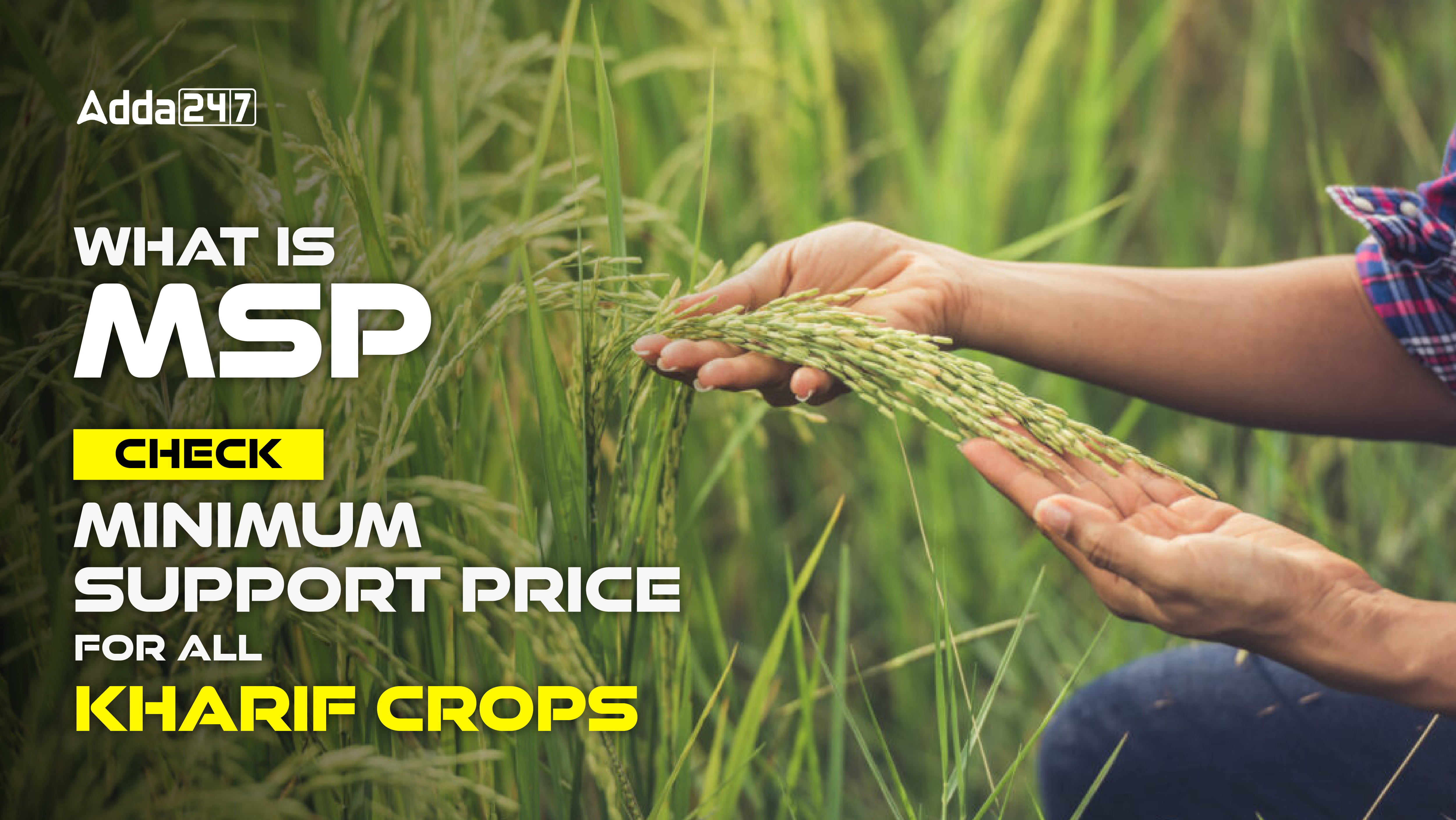 MSP 2024-25: Check Minimum Support Price For All Kharif Crops