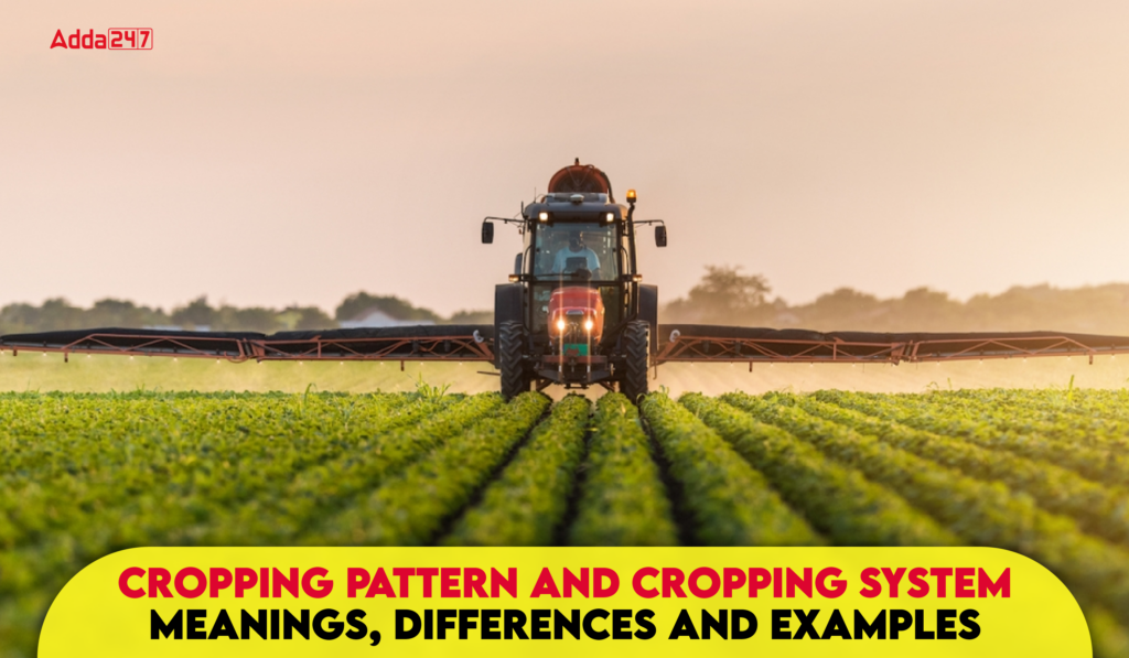 Cropping Pattern and Cropping System: Meanings, Differences and Examples