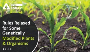 Rules Relaxed for Some Genetically Modified Plants and Organisms