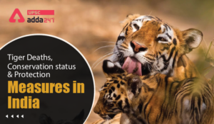 Tiger Deaths, Conservation status and Protection Measures in India